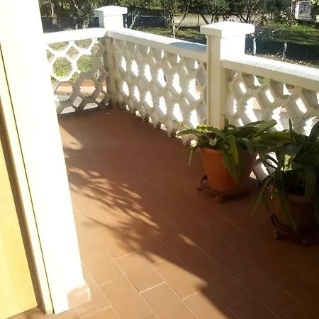 Tra Gli Ulivi